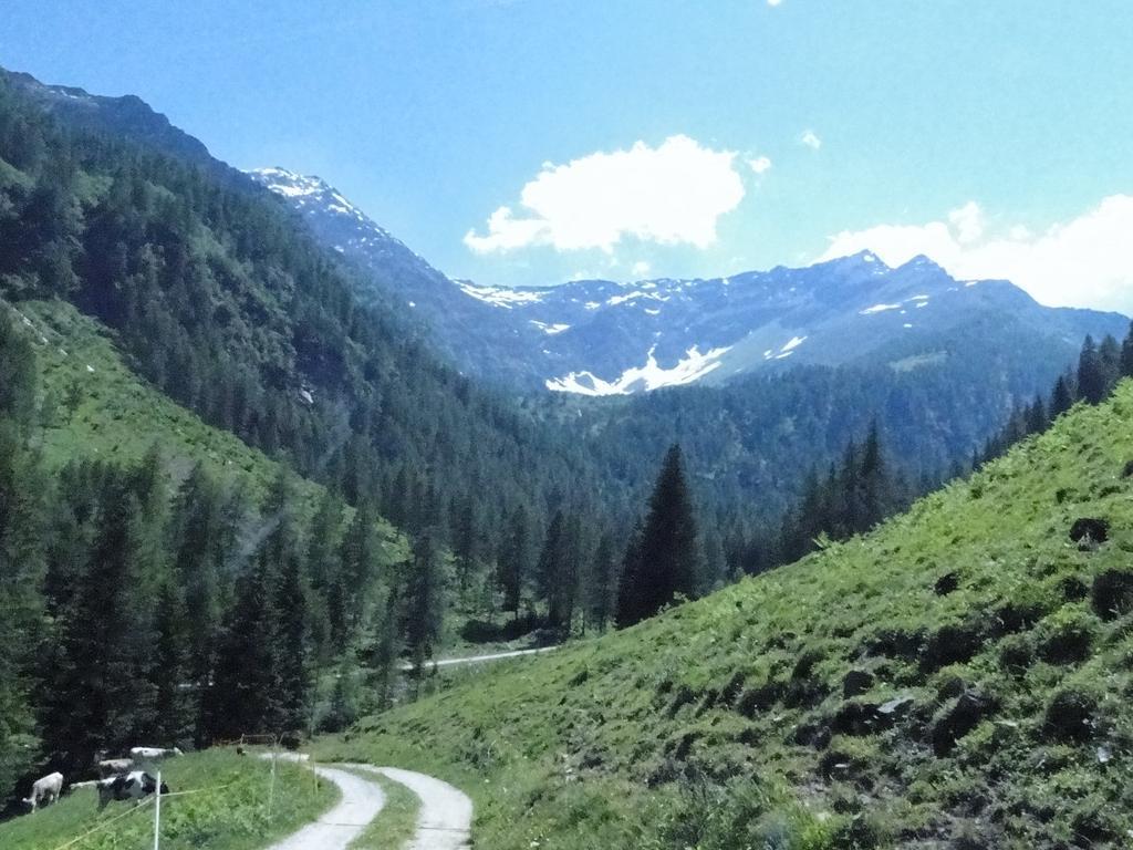 Hotel Chalet Val Di Rabbi Exterior photo